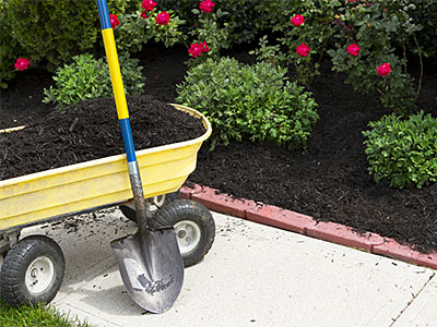 landscape maintenance definition