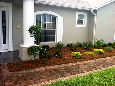 Landscaping Tampa, FL